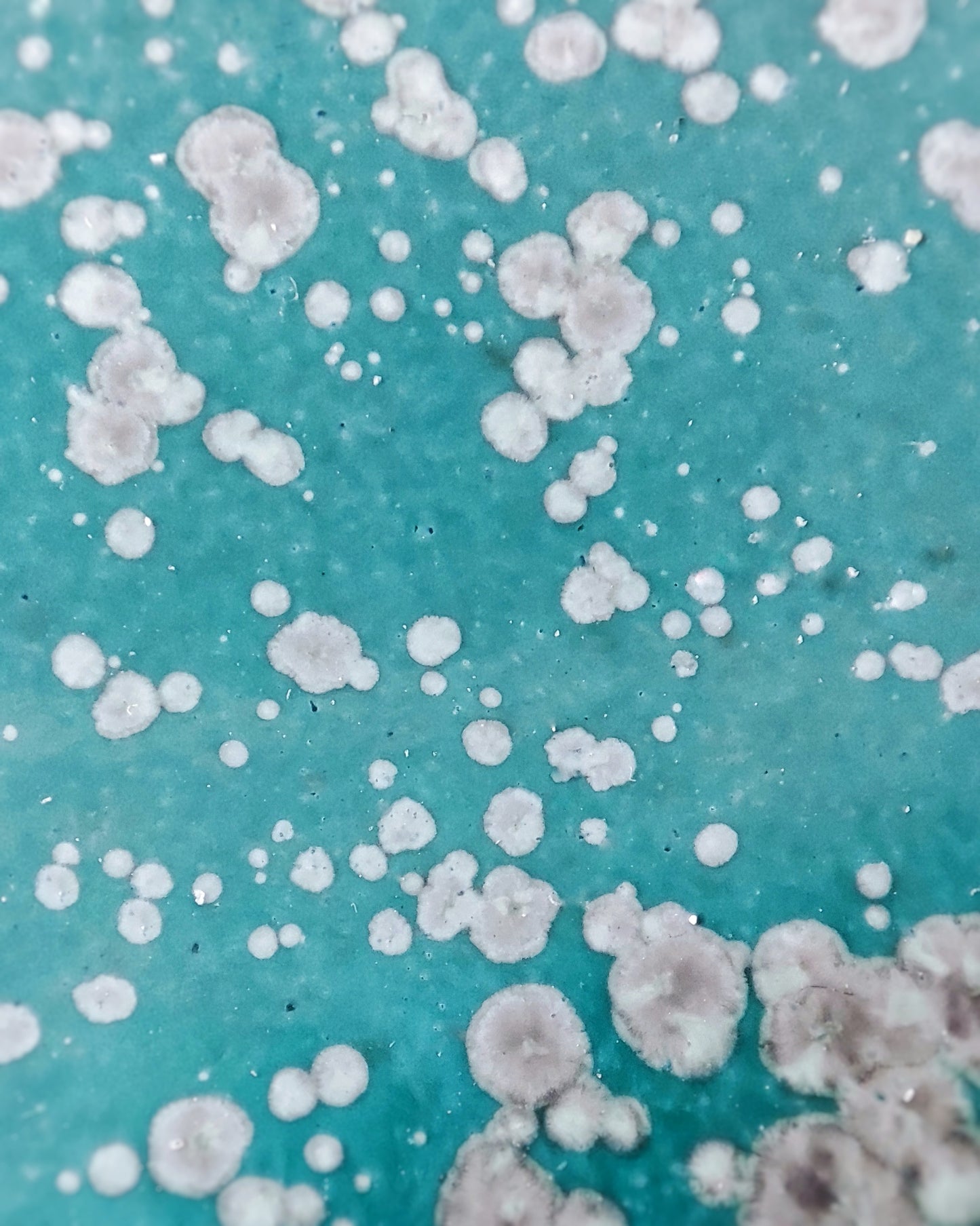 Piattini fondi (coppia), smalto Tundra